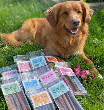 Pure Meat Sticks Variety Pack 12x50g